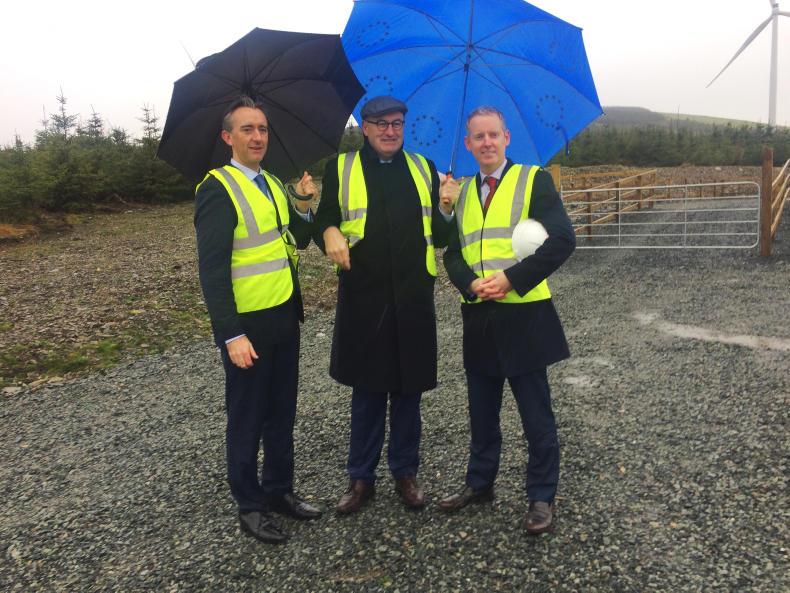 Listen: Multimillion forestry investment announced