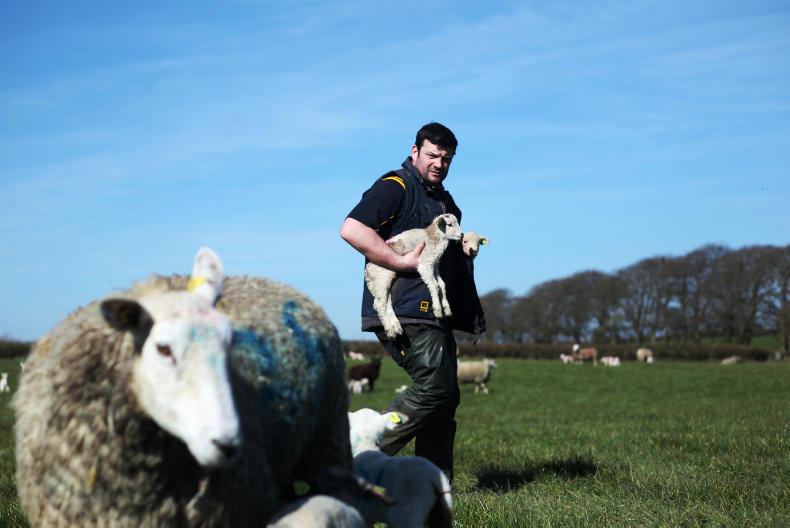 Farmer writes: dusting off the plate metre for 2017