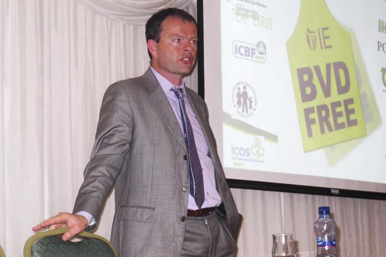 Still working towards 2020 for BVD eradication – AHI