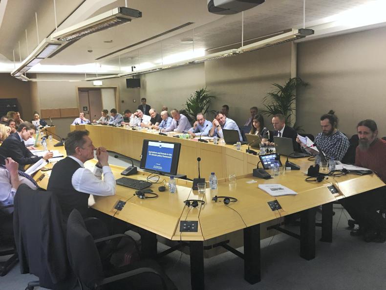 Watch: Hogan’s CAP has a long road to travel