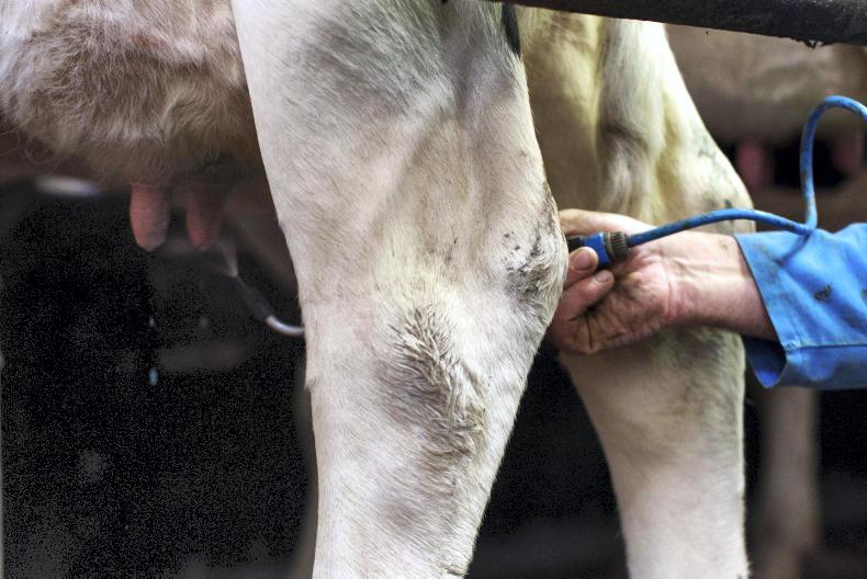 Fixed price milk still part of NI solution