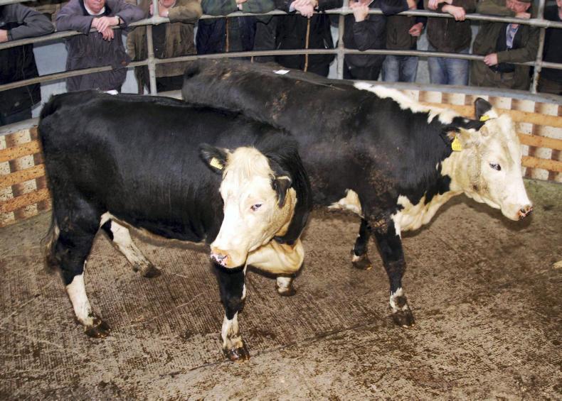 Mart wins €300,000 legal battle with cattle dealer