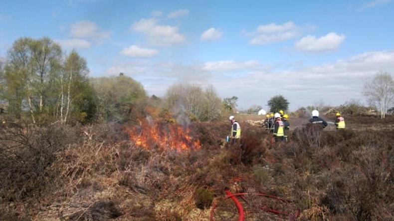 Environment: burning deadline approaching            