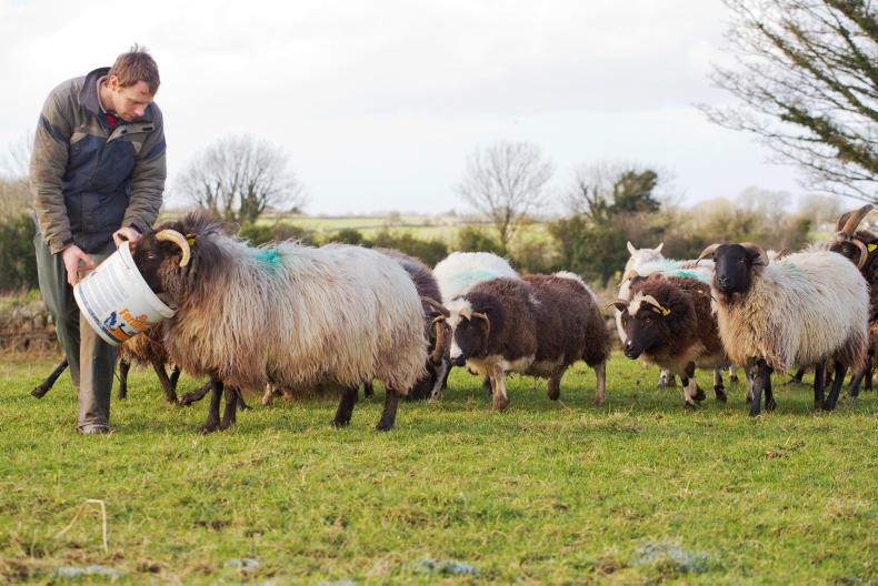 March date for ANC review maps