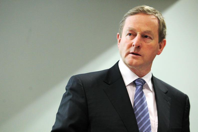 New Polish Bord Bia office to target 11 countries for Irish exports 