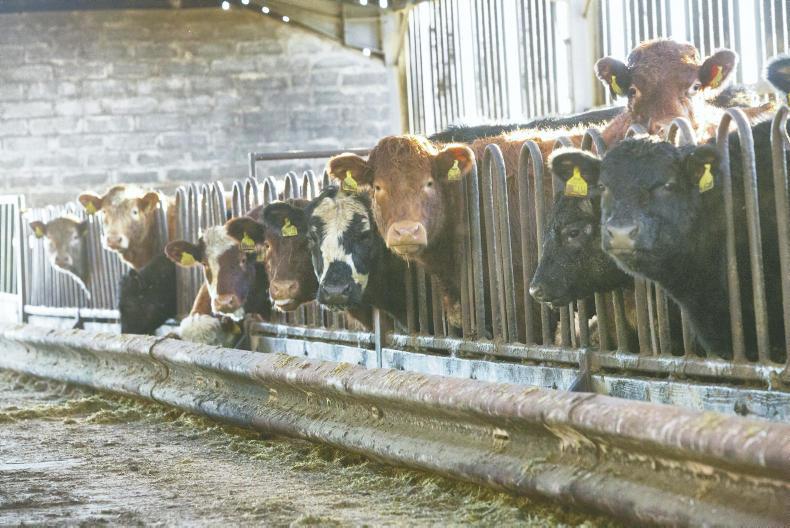 Farm Profit Programme: making livestock pay           