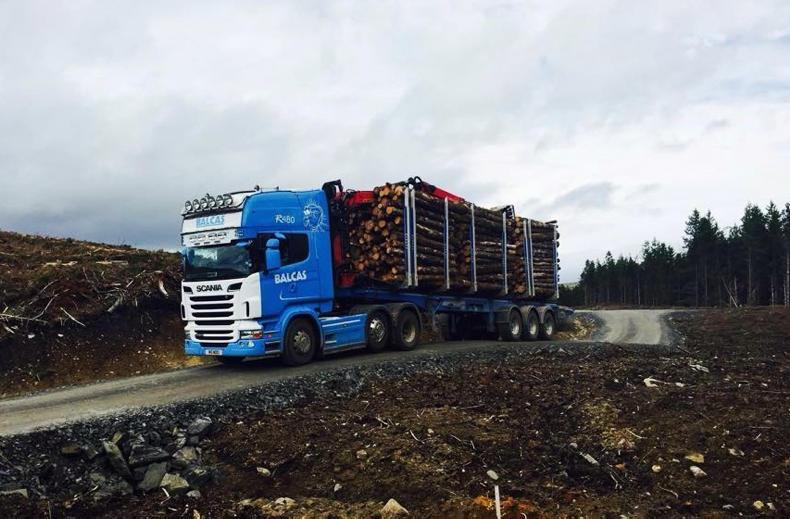 Listen: wood processor Belcas's case illustrates Brexit headache