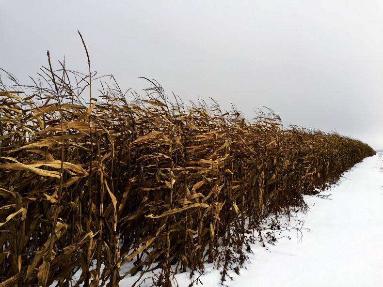 Global focus: touring the Black Sea