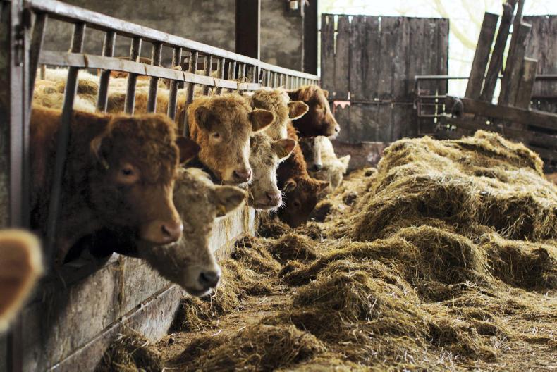 Regional split in fodder demand 