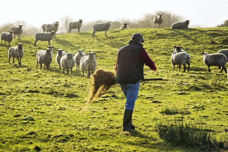 Irish organic sector among fastest growing in the world
