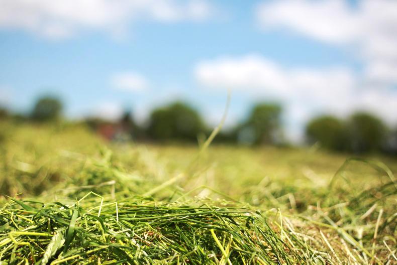 Teagasc eases Green Cert fears in northwest