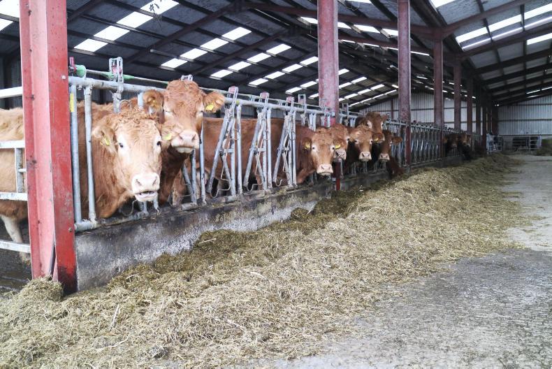 Who's taking the trailer to France?