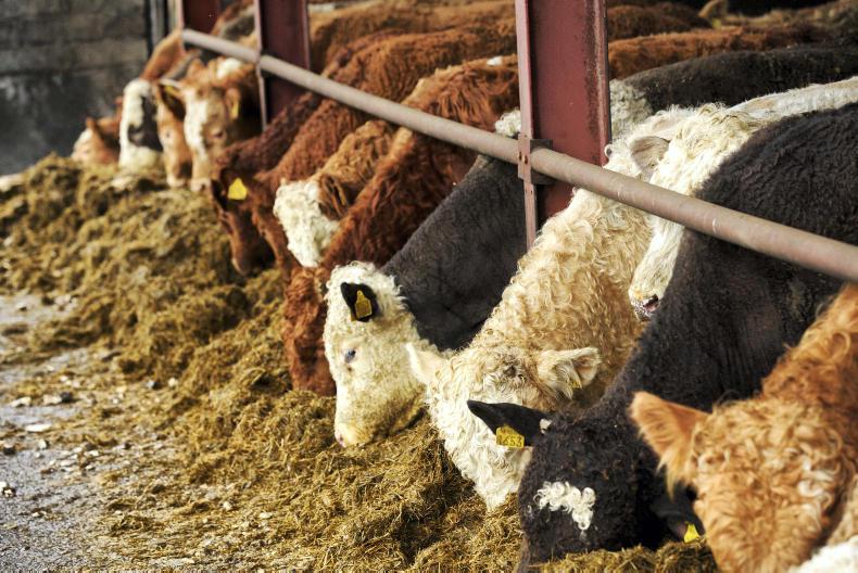 Profit monitor season: we need to talk about fixed costs      