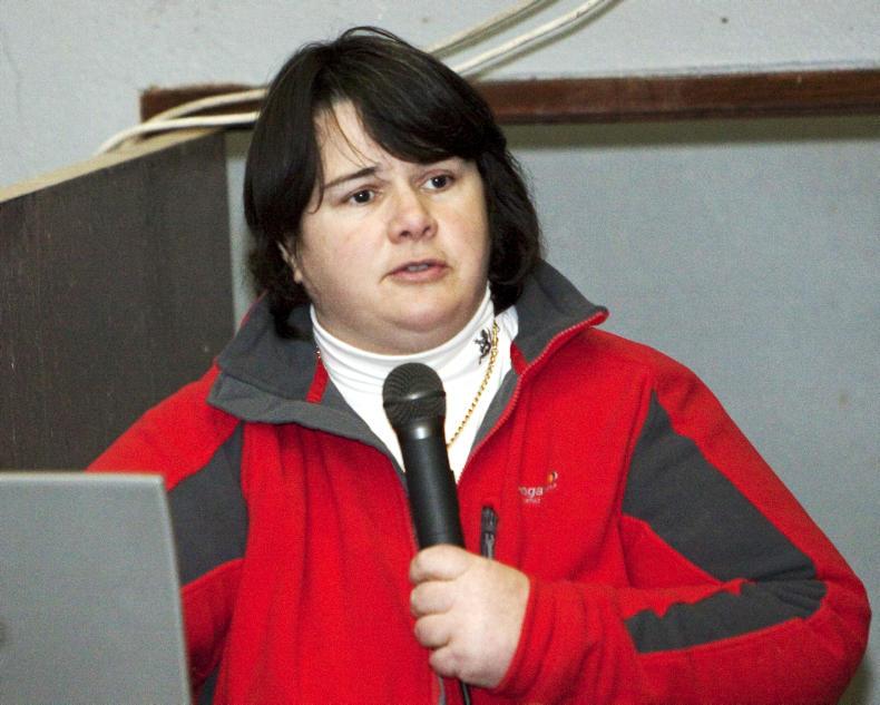 An old versus new bull: ‘the difference between minor and senior football’