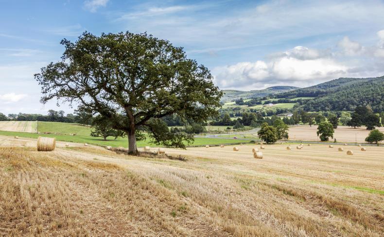 Land report: thriving level of activity in Tipperary 