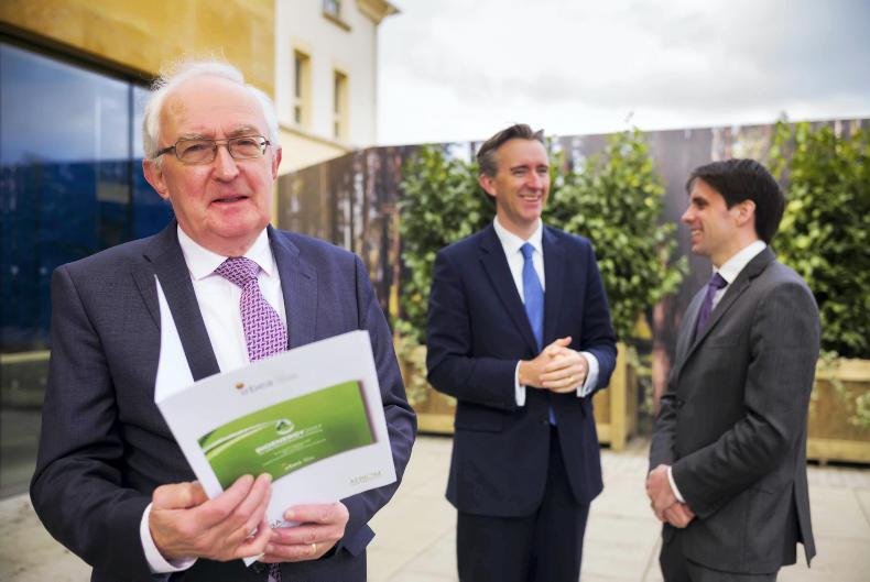 Investment in the Irish forestry and forest products sector