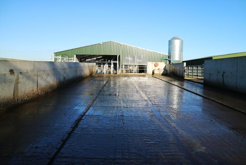 Watch: labour efficiencies with new rotary parlour