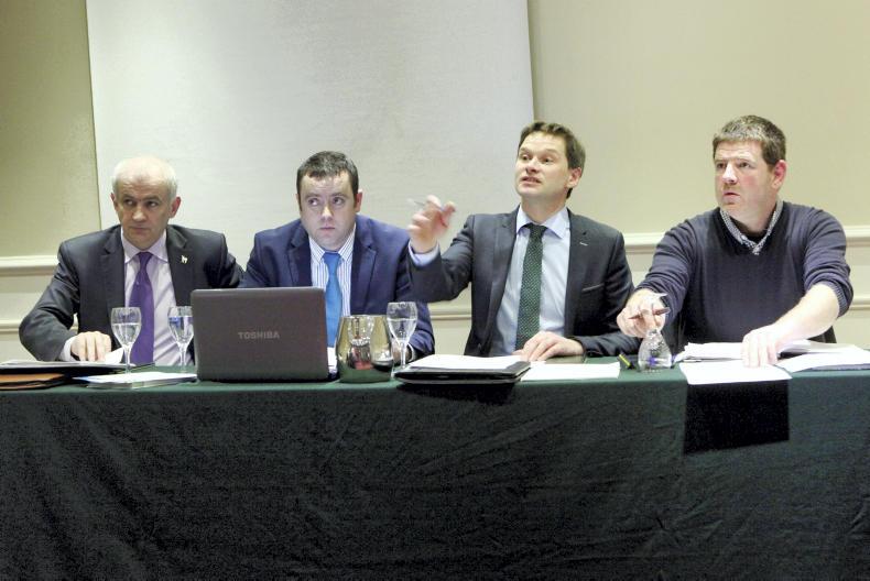 IFA county elections continue 