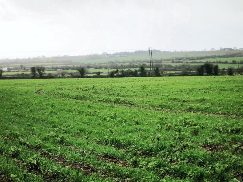 Choice 125-acre tillage farm hits south Wexford market