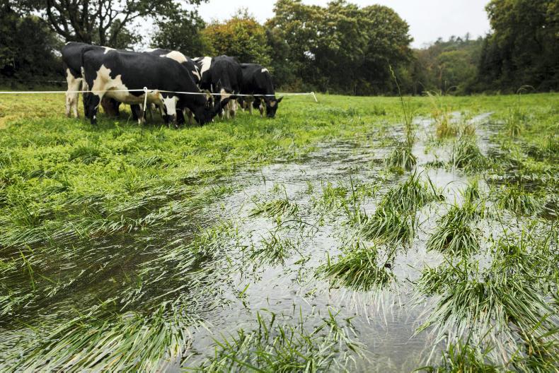 Weekly weather: cold and showers of hail and sleet
