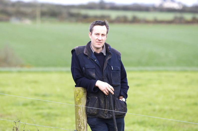 Where now for the ICBF?                     