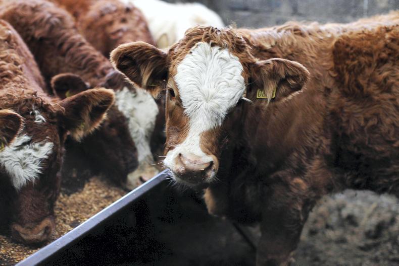 ICBF funding:  why not allow commercial companies fund the ICBF?