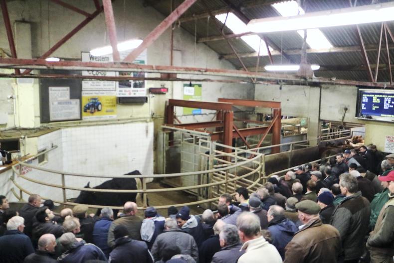 A guide to special and upcoming sales in the marts