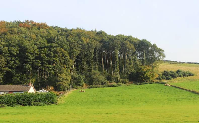 IFA news and activities this week