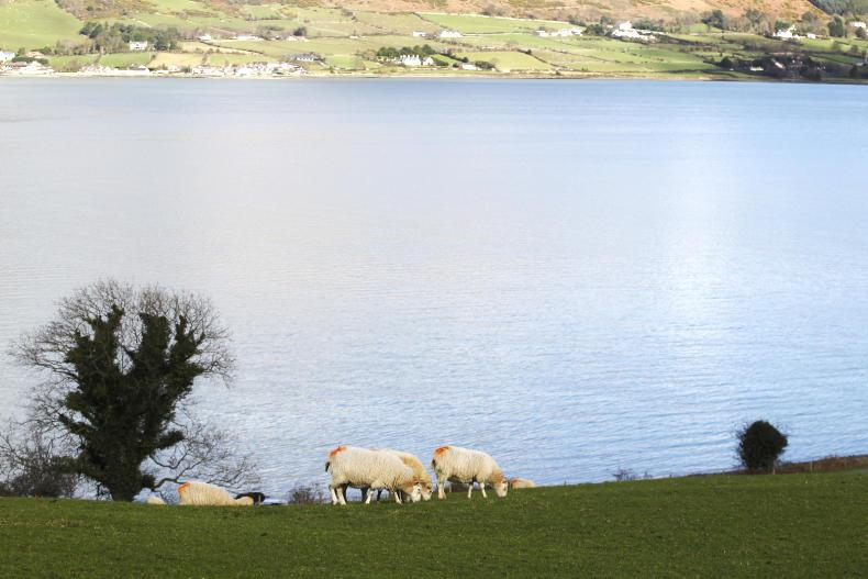 Alternative groups call for 'radical change of direction' in CAP