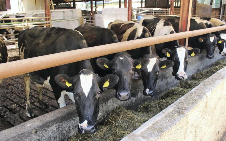 Switching to dairying in a downturn
