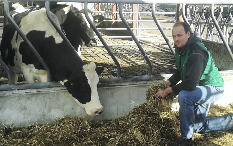 Herd health costs £82/cow in Co Down
