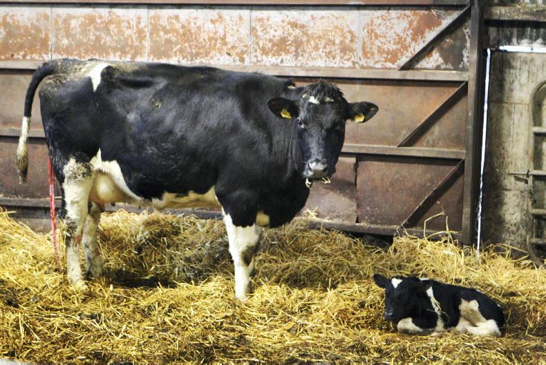 New changes planned to the EBI