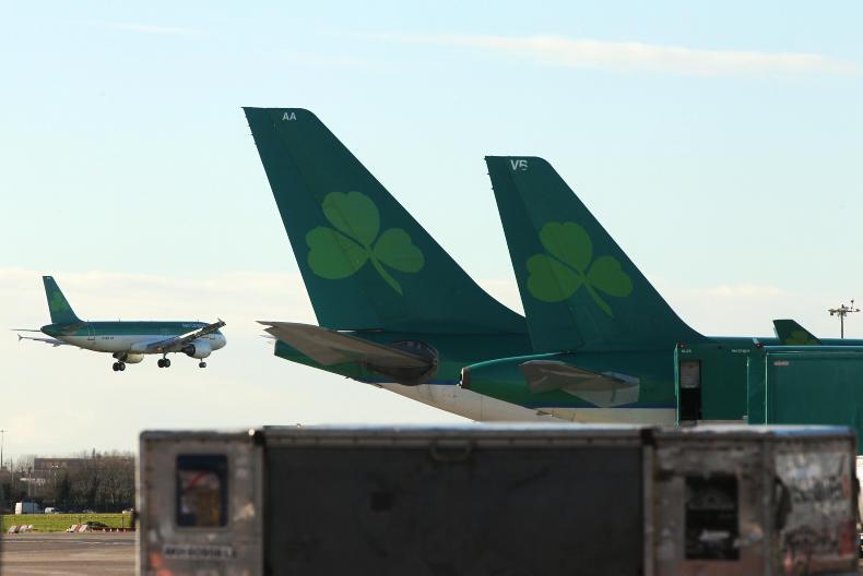 Setback for Farmer Business Developments at Berlin airport