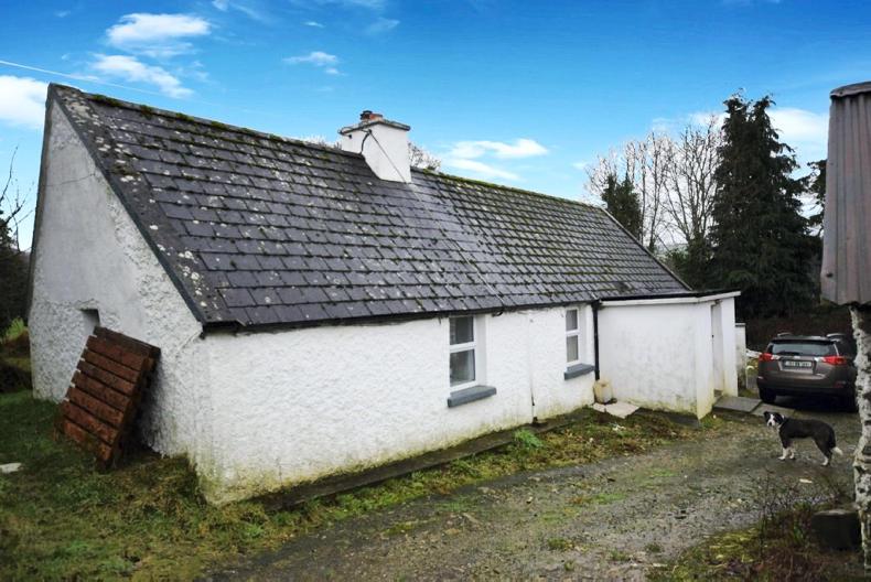 Wicklow farm averages €11,500/acre 15 March 2017 Premium