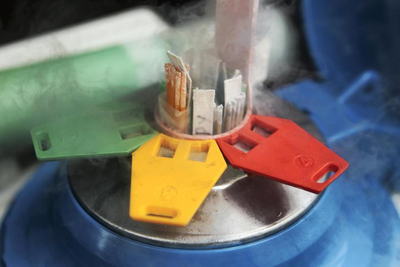 Where are the highest EBI bulls?