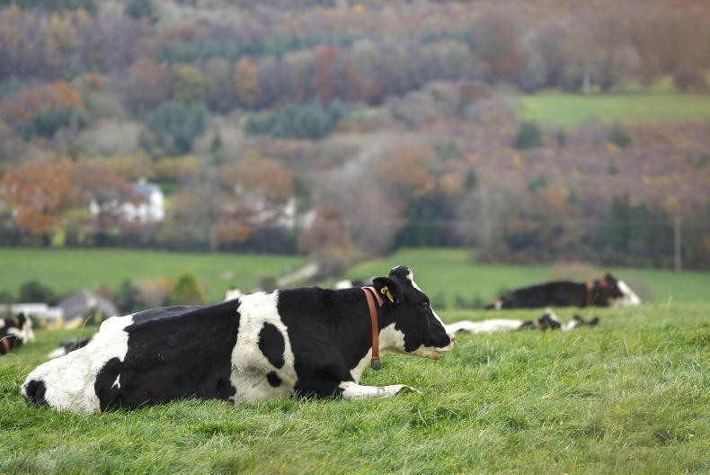 International markets drove Irish export growth in 2016, while UK fell 8%