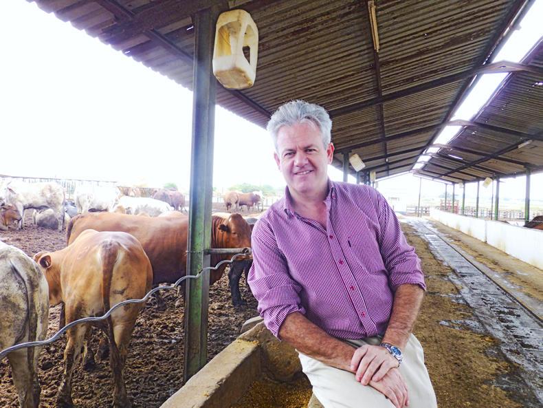 Agribusiness Report 2017: the Zambeef story