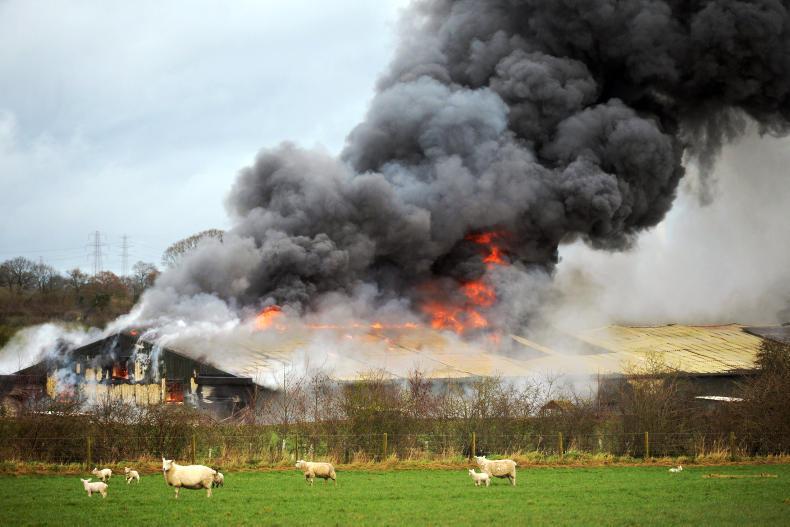 16,000 chickens die in huge fire in northwest England