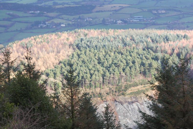 United forest industry approach to challenges of Brexit decision