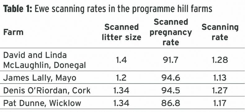 Teagasc BETTER farm hill ewes well set for lambing  