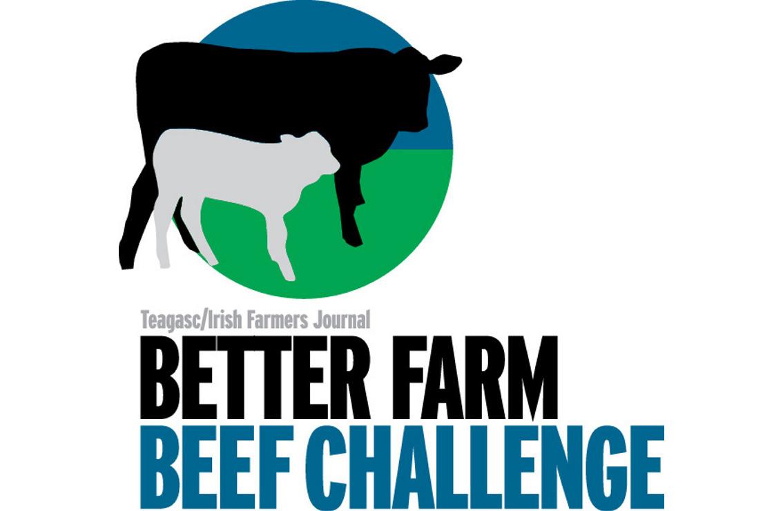 Meet the BETTER farm phase three advisers