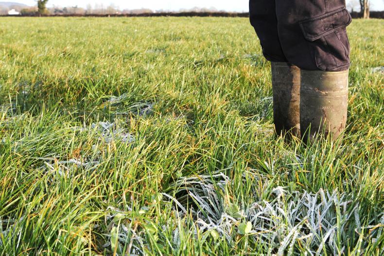 Planners looking for KT programme deadline extension 