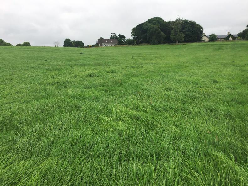 Breeding season only weeks away