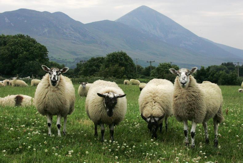 Target of 115,000 BPS applications