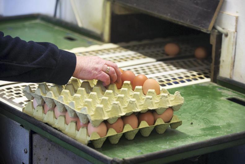 Re-labelled eggs on the way   