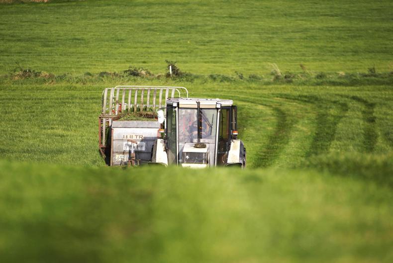 Calls for Department to reverse online only rule for BPS applications 