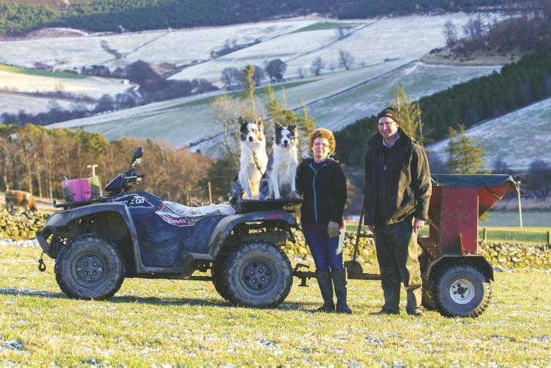 Farm Profit Programme: grazed grass to drive profitability in Scotland