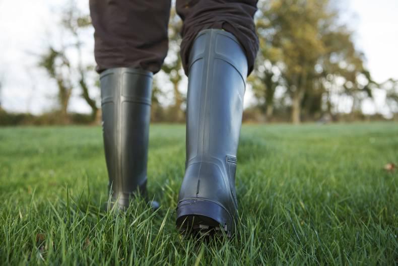 Macra na Feirme outlines CAP 2020 young farmer roadmap for generational renewal