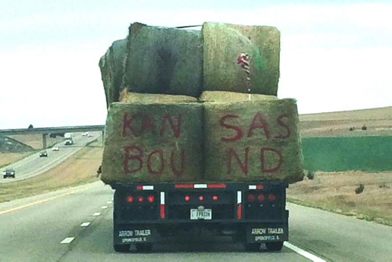 Watch: US farmers rally together to help victims of wildfires 