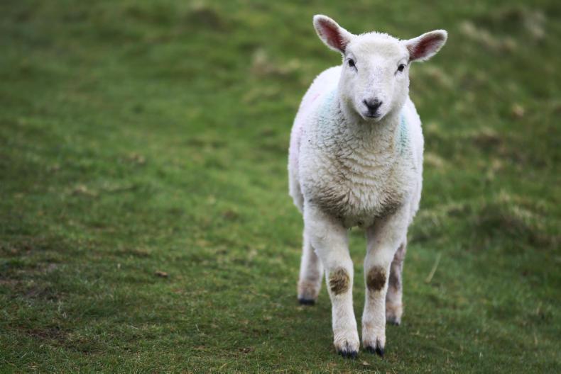 Weekly weather: after the sun comes the rain